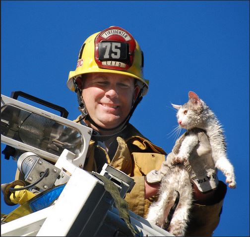 Photo 2 from LOS ANGELES FIRE DEPARTMENT FOUNDATION